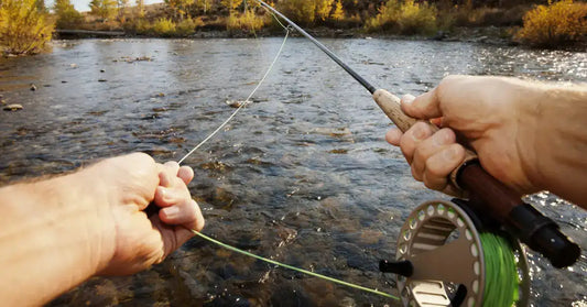 The Joys and Benefits of Fly Fishing