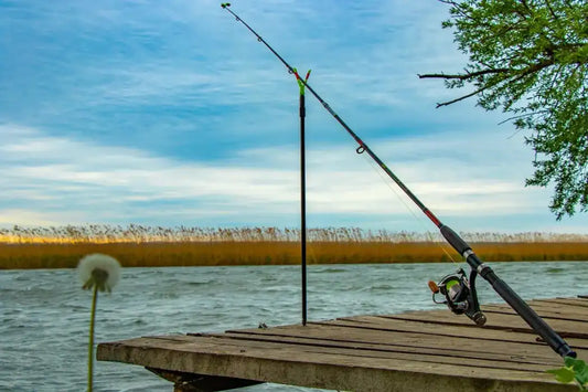 From Beginner to Pro: The Ultimate Guide Choosing Your First Fishing Rod